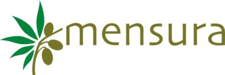 Logo mensura@2x
